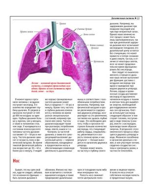 Анатомический атлас. Основы строения и физиологии человека